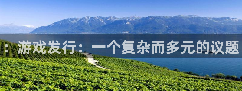 银河(galaxy)子上市了吗：：游戏发行：一个复杂而多元的议题