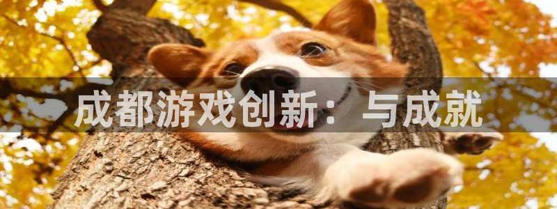 广东银河(galaxy)电子科技有限公司：成都游戏创新：与成就