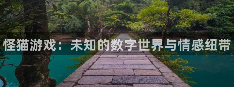 银河(galaxy)技术有限公司招聘：怪猫游戏：未知的数字世界与情感纽带