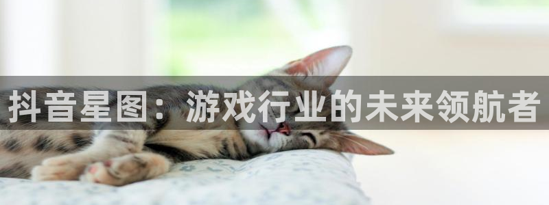 银河(galaxy)电子商务