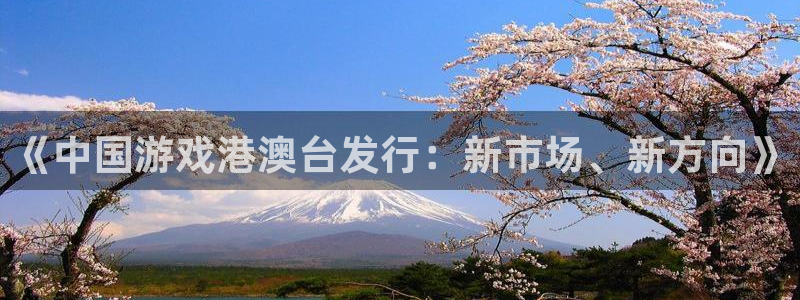 银河官网登录注册账号是什么意思：《中国游戏港澳台发行：新市场、新方向》