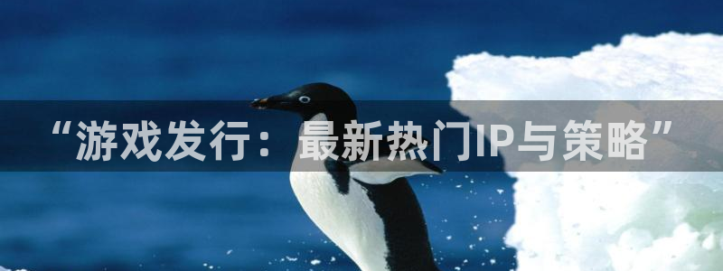 银河(galaxy)是什么品牌：“游戏发行：最新热门IP与策略”